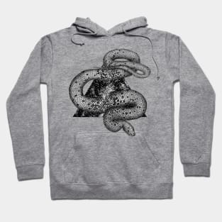 Cosmic Snake Hoodie